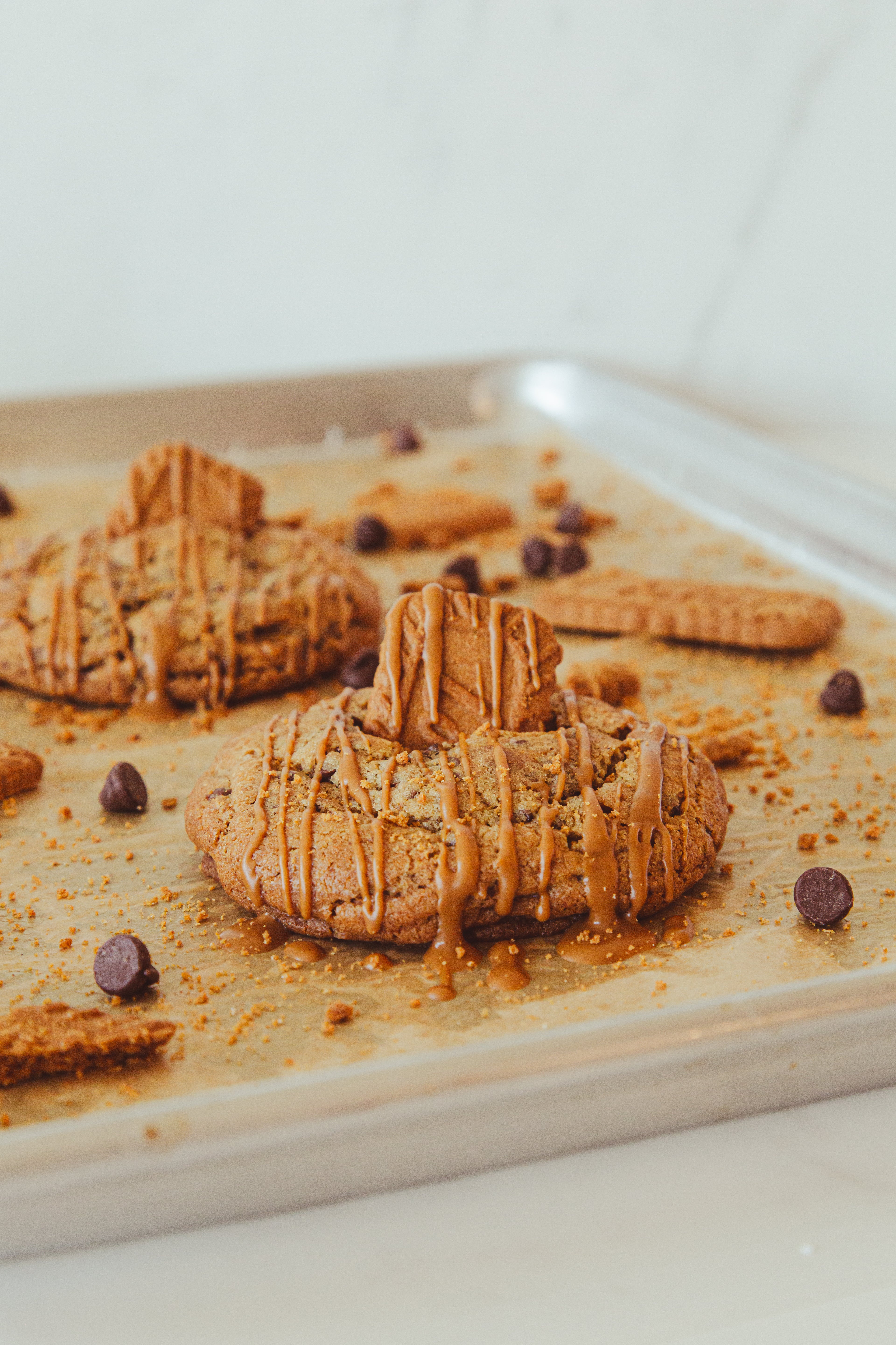 Biscuit Breeze
