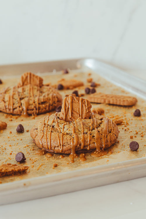 Biscuit Breeze